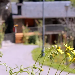 Apartamento Turístics Vilaró, Llorts